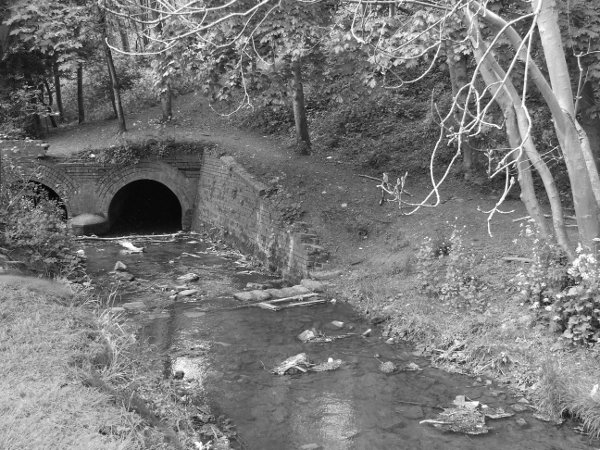The tunnel leading the river Cherwell through the railway bank