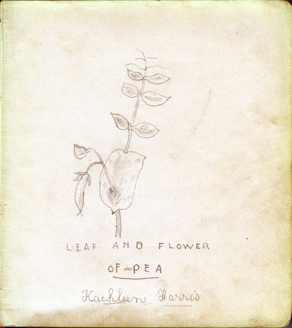 Autograph Book