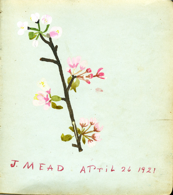 Autograph Book